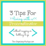 Feeling the effects of procrastination...from someone else? Here are 3 tips for living with a procrastinator.