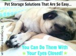 Pet Storage Infographic