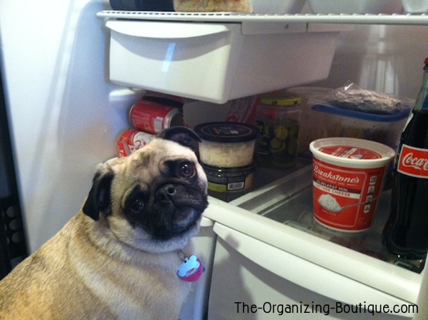 fridge problems solved with Fridge Coasters