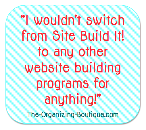 building business websites with Site Build It!