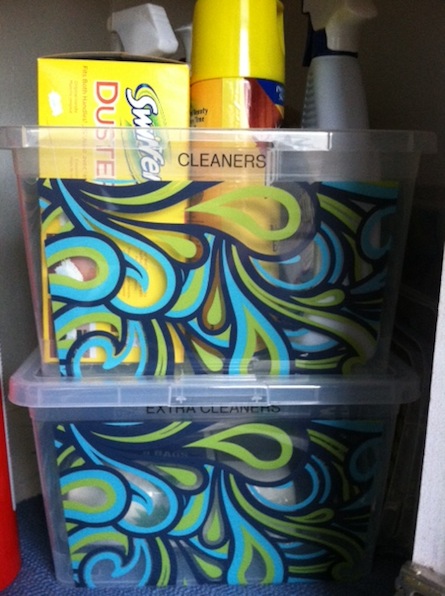 under sink storage - cleaners