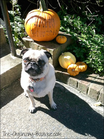 Check out these home storage ideas for fall and easy holiday decorating ideas! Getting organized in the autumn season has never been so fun!