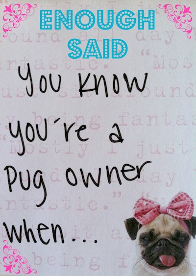 Funny Pugs & Their Owners - You Know You're A Pug Owner When...