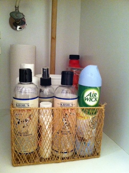 guest bathroom storage solutions- pet supplies