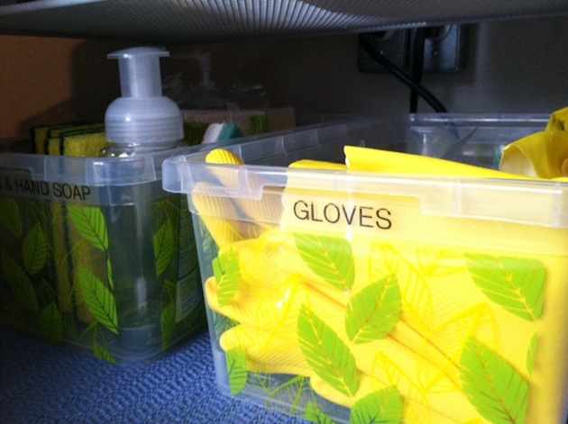under sink storage - gloves