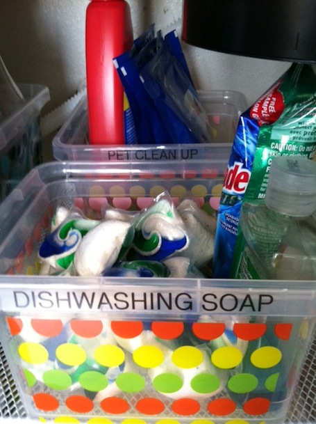 under sink storage - dish soap